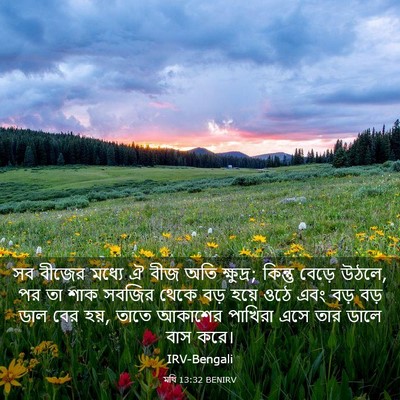 Picture 03 - মথি 13:32 BENIRV - সব বীজের মধ্যে ঐ - Bible Verse Picture