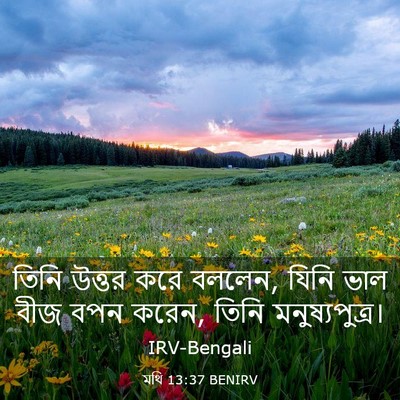 Picture 03 - মথি 13:37 BENIRV - তিনি উত্তর করে - Bible Verse Picture