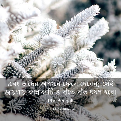 Picture 03 - মথি 13:42 BENIRV - এবং তাদের আগুনে - Bible Verse Picture