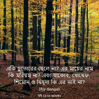 Picture 03 - মথি 13:55 BENIRV - একি ছুতোরের ছেলে - Bible Verse Picture
