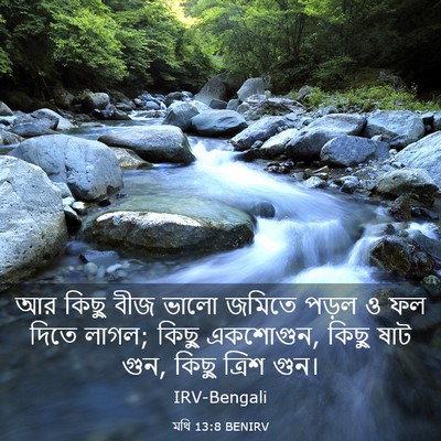 Picture 03 - মথি 13:8 BENIRV - আর কিছু বীজ ভালো - Bible Verse Picture