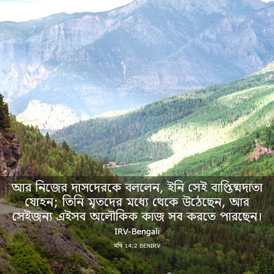 Picture 03 - মথি 14:2 BENIRV - আর নিজের দাসদেরকে - Bible Verse Picture