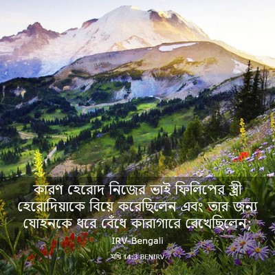 Picture 03 - মথি 14:3 BENIRV - কারণ হেরোদ নিজের - Bible Verse Picture