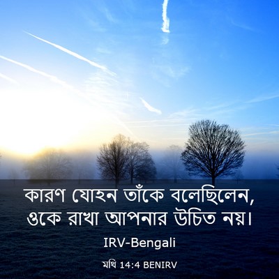 Picture 03 - মথি 14:4 BENIRV - কারণ যোহন তাঁকে - Bible Verse Picture