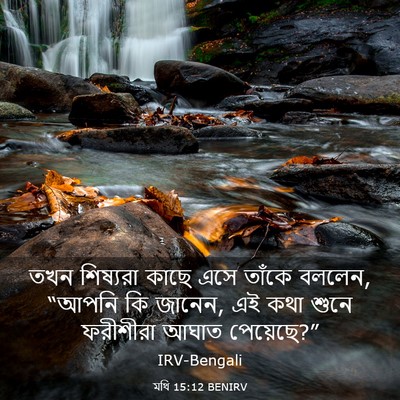 Picture 03 - মথি 15:12 BENIRV - তখন শিষ্যরা কাছে - Bible Verse Picture