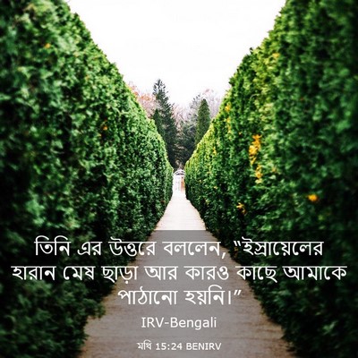 Picture 03 - মথি 15:24 BENIRV - তিনি এর উত্তরে - Bible Verse Picture