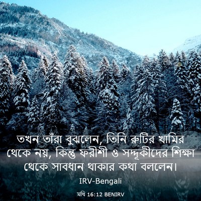 Picture 03 - মথি 16:12 BENIRV - তখন তাঁরা বুঝলেন, - Bible Verse Picture
