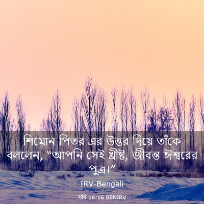 Picture 03 - মথি 16:16 BENIRV - শিমোন পিতর এর - Bible Verse Picture