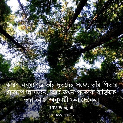Picture 03 - মথি 16:27 BENIRV - কারণ মনুষ্যপুত্র - Bible Verse Picture