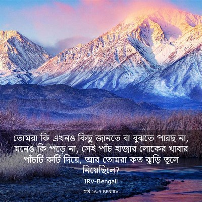 Picture 03 - মথি 16:9 BENIRV - তোমরা কি এখনও কিছু - Bible Verse Picture