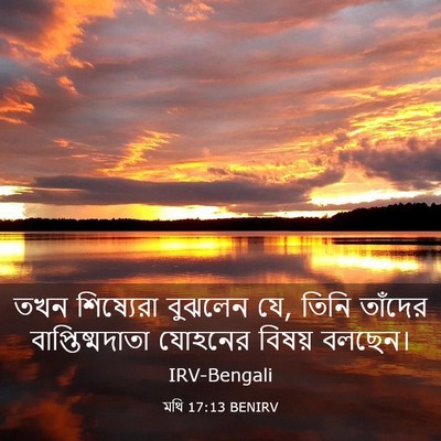 Picture 03 - মথি 17:13 BENIRV - তখন শিষ্যেরা - Bible Verse Picture