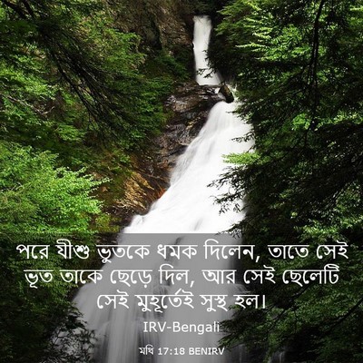 Picture 03 - মথি 17:18 BENIRV - পরে যীশু ভুতকে ধমক - Bible Verse Picture