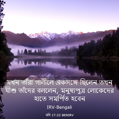 Picture 03 - মথি 17:22 BENIRV - যখন তাঁরা গালীলে - Bible Verse Picture