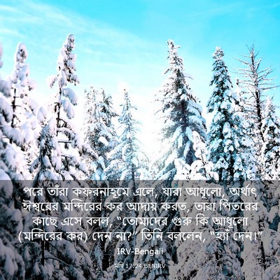 Picture 03 - মথি 17:24 BENIRV - পরে তাঁরা - Bible Verse Picture