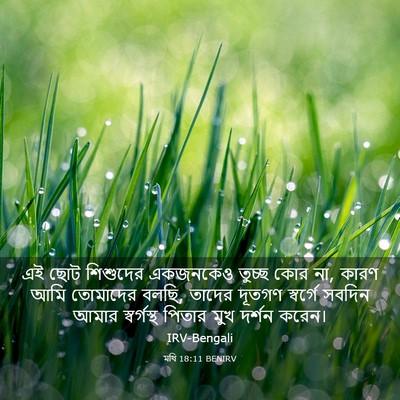 Picture 03 - মথি 18:11 BENIRV - এই ছোট শিশুদের - Bible Verse Picture