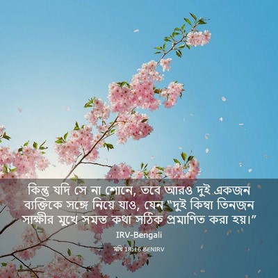 Picture 03 - মথি 18:16 BENIRV - কিন্তু যদি সে না - Bible Verse Picture