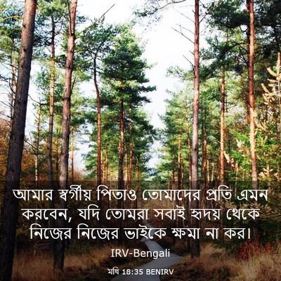 Picture 03 - মথি 18:35 BENIRV - আমার স্বর্গীয় - Bible Verse Picture