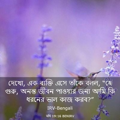 Picture 03 - মথি 19:16 BENIRV - দেখো, এক ব্যক্তি - Bible Verse Picture