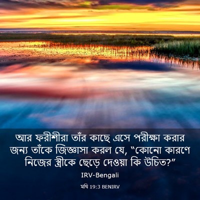 Picture 03 - মথি 19:3 BENIRV - আর ফরীশীরা তাঁর - Bible Verse Picture