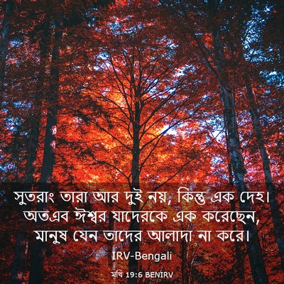 Picture 03 - মথি 19:6 BENIRV - সুতরাং তারা আর দুই - Bible Verse Picture