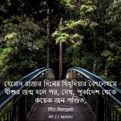 Picture 03 - মথি 2:1 BENIRV - হেরোদ রাজার দিনের - Bible Verse Picture