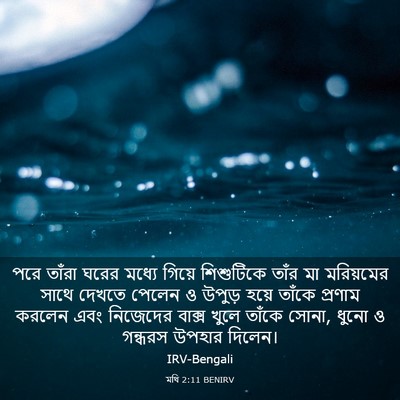 Picture 03 - মথি 2:11 BENIRV - পরে তাঁরা ঘরের - Bible Verse Picture