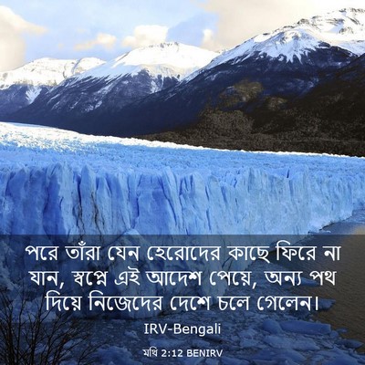 Picture 03 - মথি 2:12 BENIRV - পরে তাঁরা যেন - Bible Verse Picture