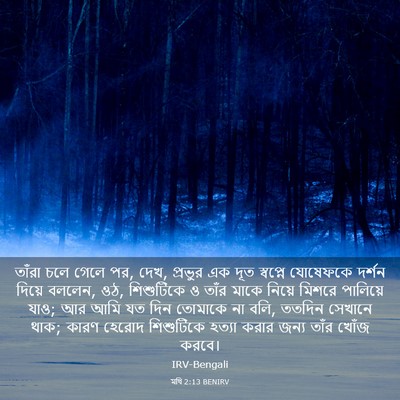 Picture 03 - মথি 2:13 BENIRV - তাঁরা চলে গেলে পর, - Bible Verse Picture