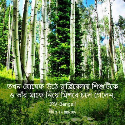 Picture 03 - মথি 2:14 BENIRV - তখন যোষেফ উঠে - Bible Verse Picture