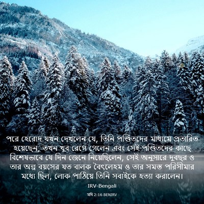 Picture 03 - মথি 2:16 BENIRV - পরে হেরোদ যখন - Bible Verse Picture