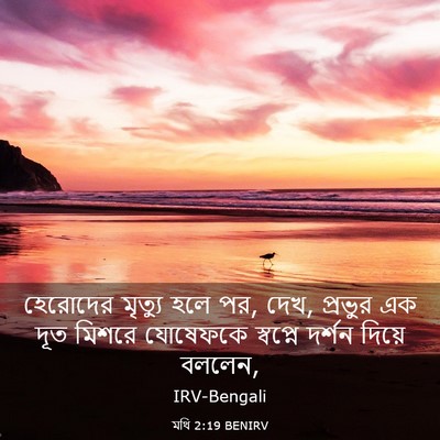 Picture 03 - মথি 2:19 BENIRV - হেরোদের মৃত্যু - Bible Verse Picture