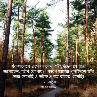 Picture 03 - মথি 2:2 BENIRV - যিরুশালেমে এসে - Bible Verse Picture