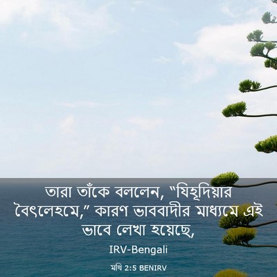 Picture 03 - মথি 2:5 BENIRV - তারা তাঁকে বললেন, - Bible Verse Picture