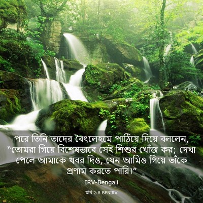 Picture 03 - মথি 2:8 BENIRV - পরে তিনি তাদের - Bible Verse Picture