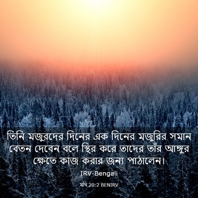 Picture 03 - মথি 20:2 BENIRV - তিনি মজুরদের - Bible Verse Picture