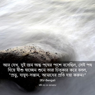 Picture 03 - মথি 20:30 BENIRV - আর দেখ, দুই জন অন্ধ - Bible Verse Picture
