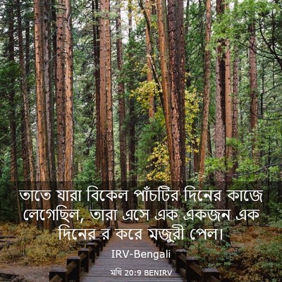 Picture 03 - মথি 20:9 BENIRV - তাতে যারা বিকেল - Bible Verse Picture