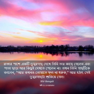 Picture 03 - মথি 21:19 BENIRV - রাস্তার পাশে একটি - Bible Verse Picture
