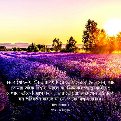 Picture 03 - মথি 21:32 BENIRV - কারণ যোহন - Bible Verse Picture