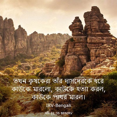 Picture 03 - মথি 21:35 BENIRV - তখন কৃষকেরা তাঁর - Bible Verse Picture