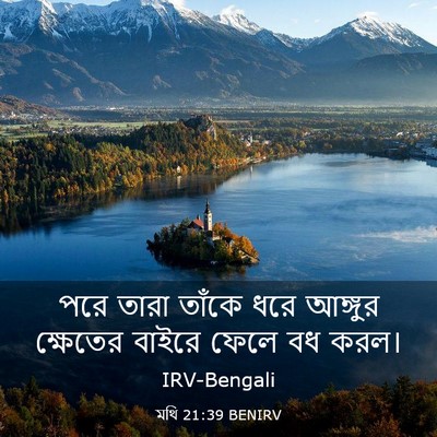 Picture 03 - মথি 21:39 BENIRV - পরে তারা তাঁকে ধরে - Bible Verse Picture