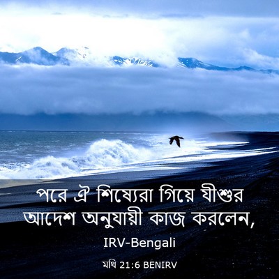 Picture 03 - মথি 21:6 BENIRV - পরে ঐ শিষ্যেরা - Bible Verse Picture