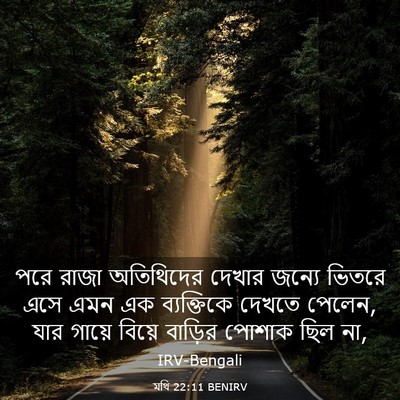 Picture 03 - মথি 22:11 BENIRV - পরে রাজা অতিথিদের - Bible Verse Picture