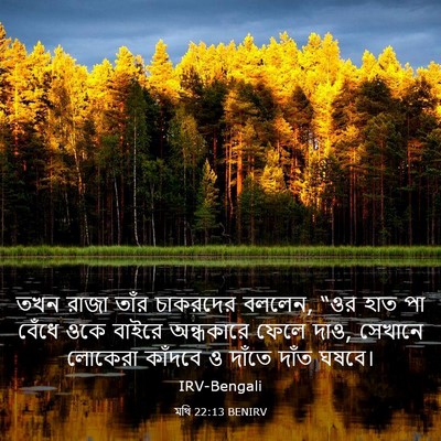 Picture 03 - মথি 22:13 BENIRV - তখন রাজা তাঁর - Bible Verse Picture