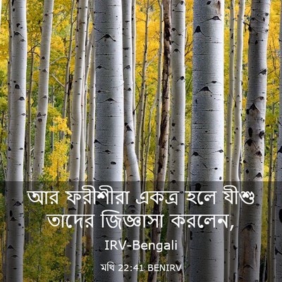 Picture 03 - মথি 22:41 BENIRV - আর ফরীশীরা একত্র - Bible Verse Picture