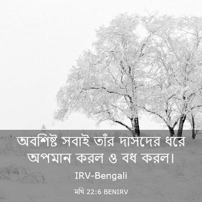 Picture 03 - মথি 22:6 BENIRV - অবশিষ্ট সবাই তাঁর - Bible Verse Picture