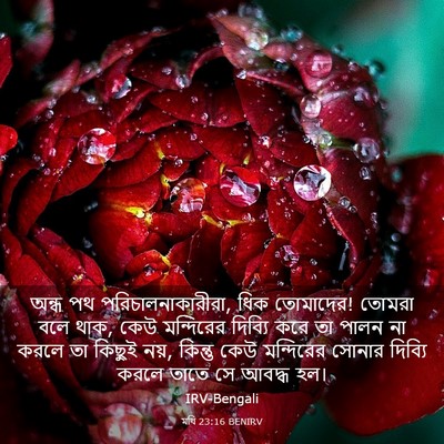 Picture 03 - মথি 23:16 BENIRV - অন্ধ পথ - Bible Verse Picture