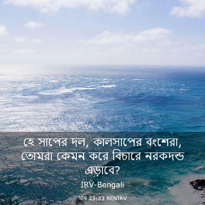 Picture 03 - মথি 23:33 BENIRV - হে সাপের দল, - Bible Verse Picture