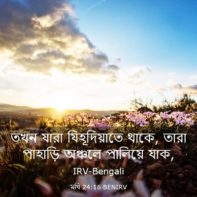 Picture 03 - মথি 24:16 BENIRV - তখন যারা - Bible Verse Picture