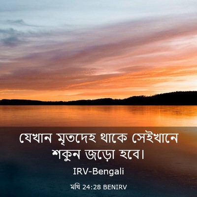 Picture 03 - মথি 24:28 BENIRV - যেখান মৃতদেহ থাকে - Bible Verse Picture